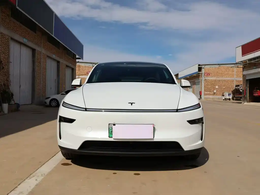 Tesla Model Y — фото 2