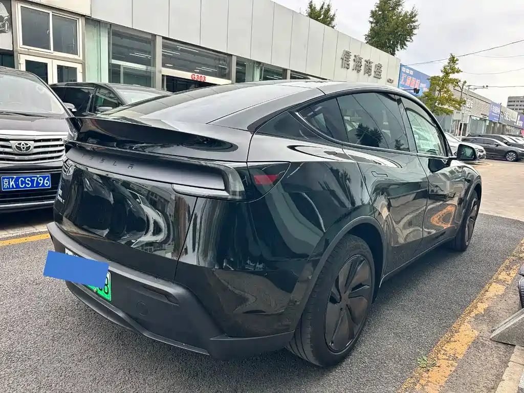 Tesla Model Y — фото 11
