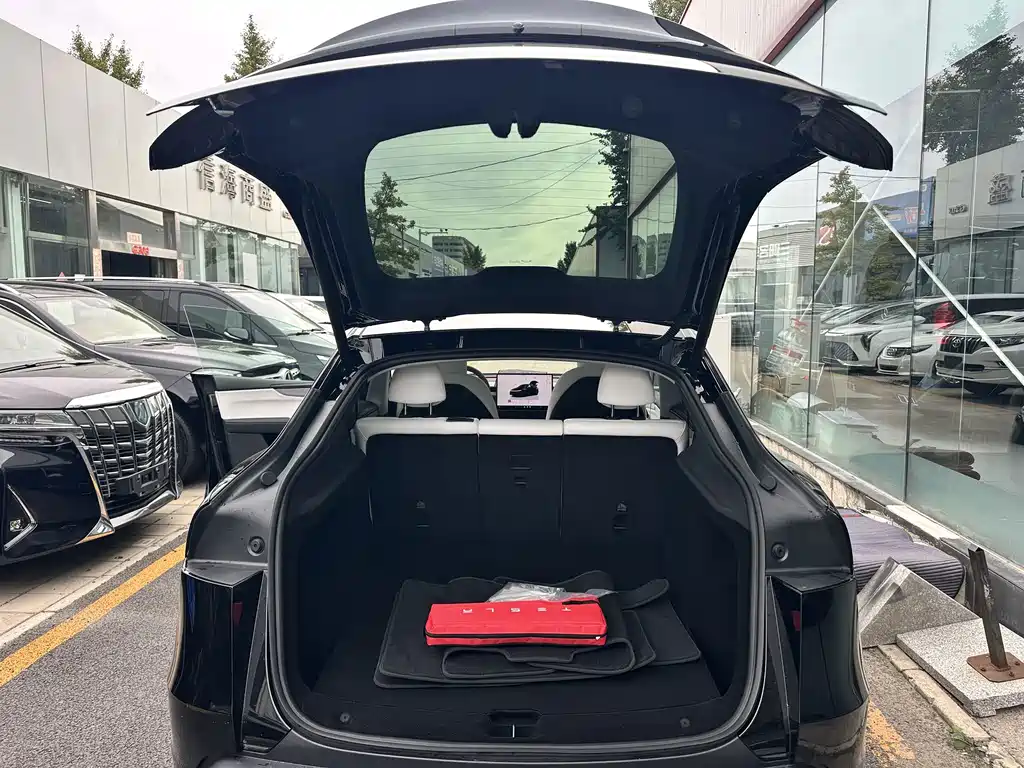 Tesla Model Y — фото 9