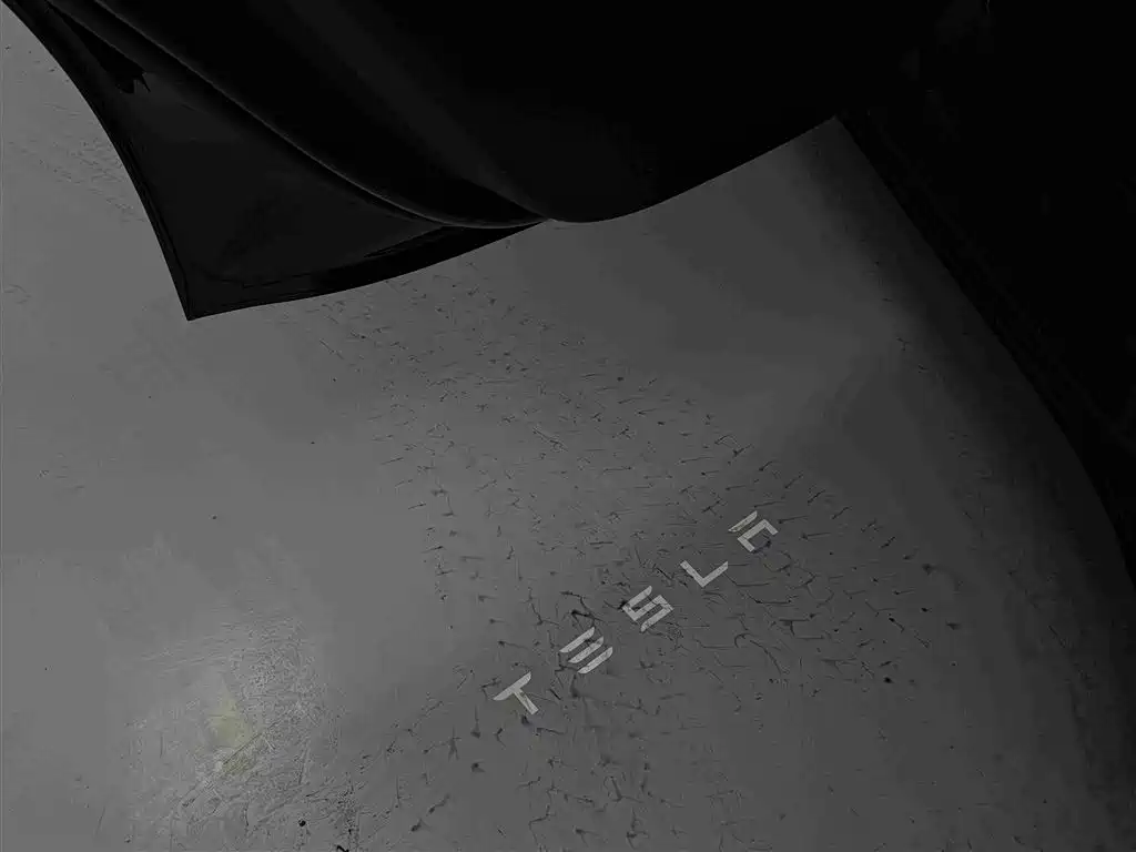 Tesla Model Y — фото 16