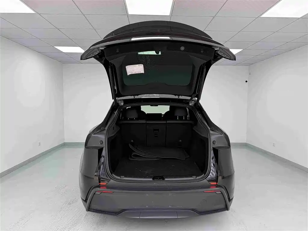 Tesla Model Y — фото 18