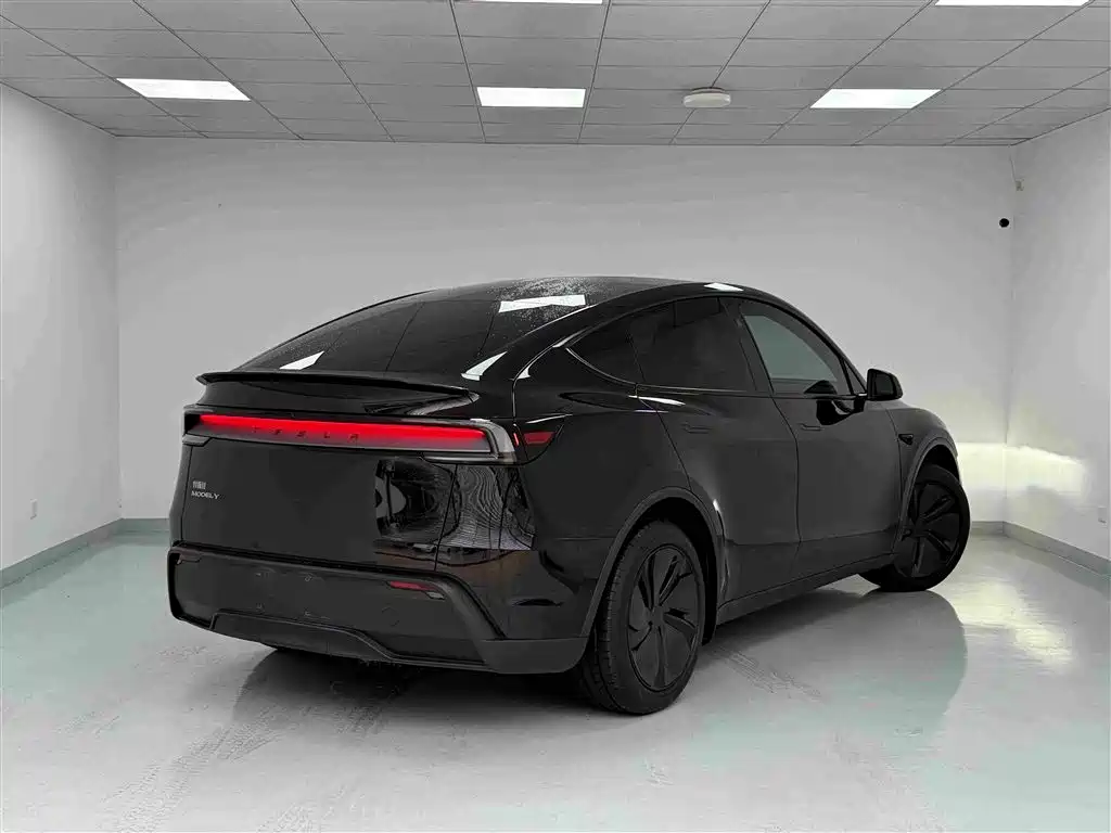 Tesla Model Y — фото 20