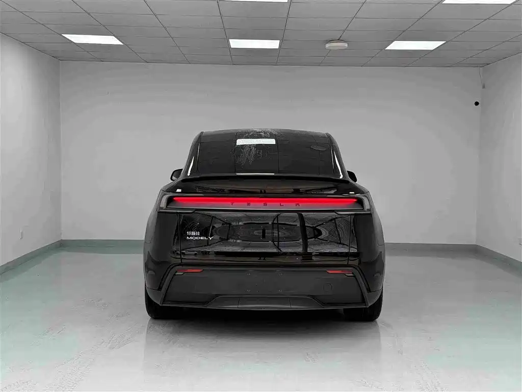 Tesla Model Y — фото 21