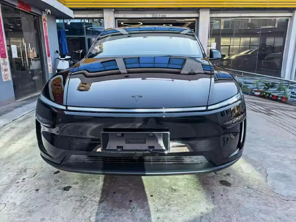 Tesla Model Y — фото 2