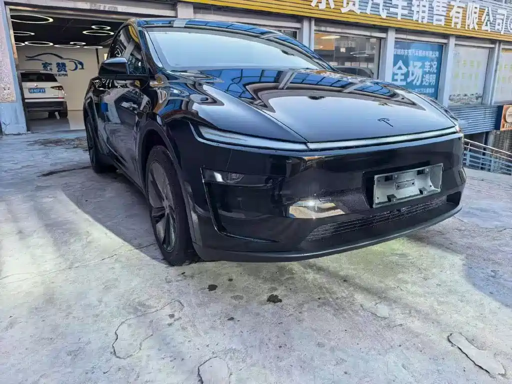 Tesla Model Y — фото 3