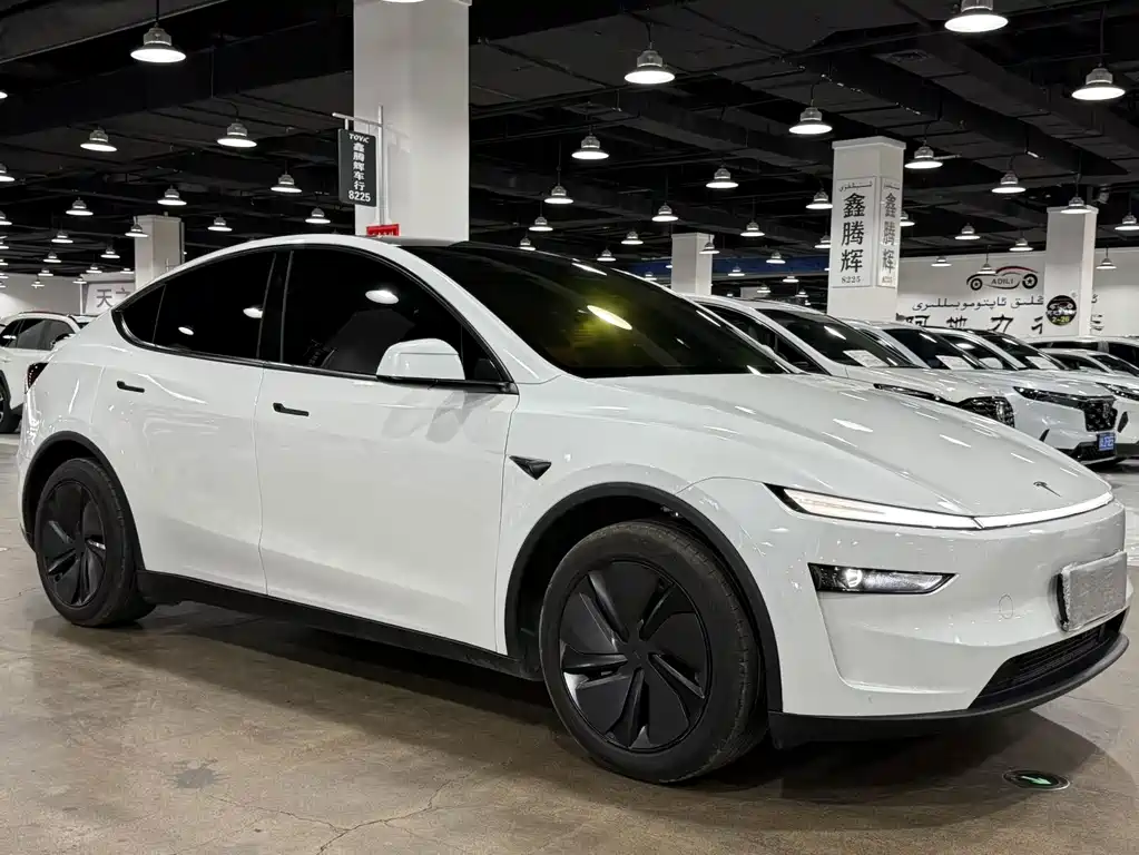 Tesla Model Y — фото 3