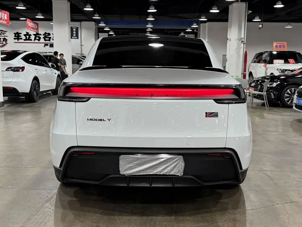 Tesla Model Y — фото 8