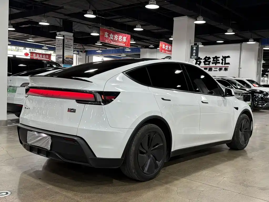 Tesla Model Y — фото 9