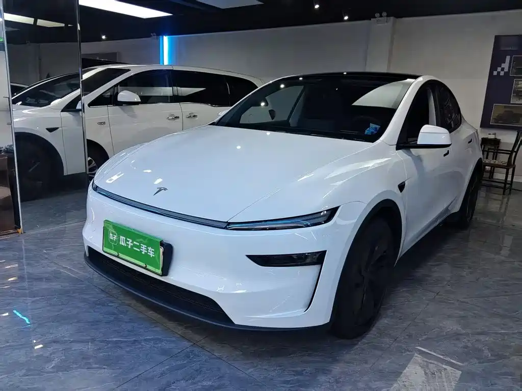 Tesla Model Y — фото 2