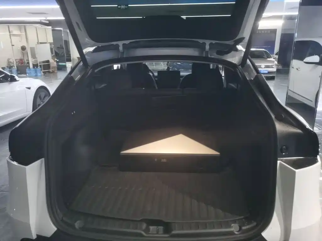 Tesla Model Y — фото 19
