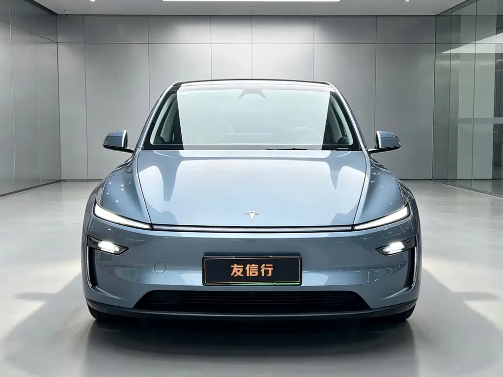 Tesla Model Y — фото 2