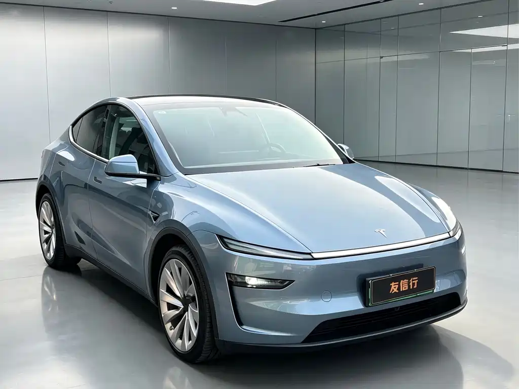 Tesla Model Y — фото 3