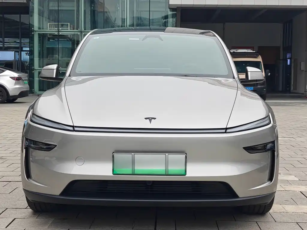 Tesla Model Y — фото 2