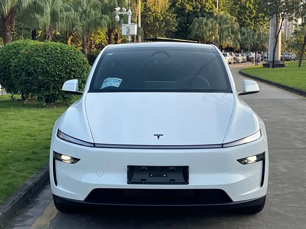 Tesla Model Y — фото 2
