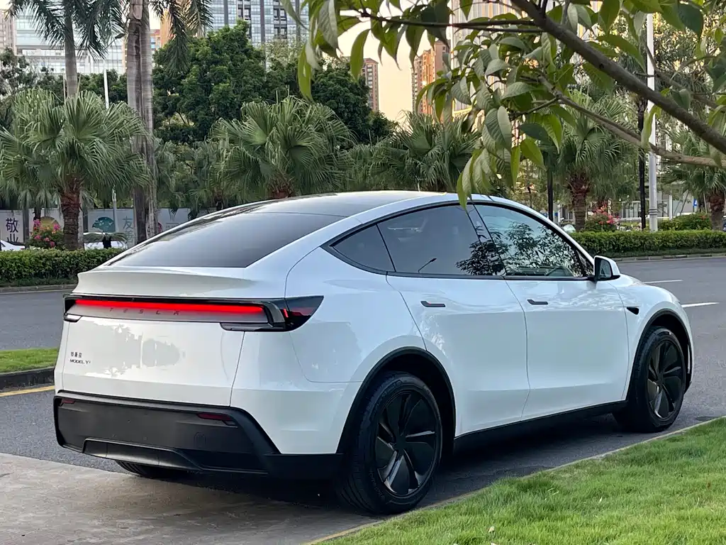 Tesla Model Y — фото 11