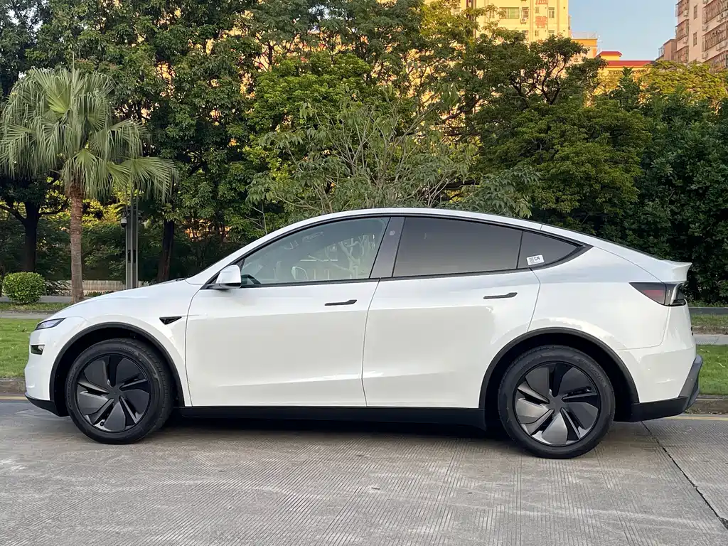 Tesla Model Y — фото 14