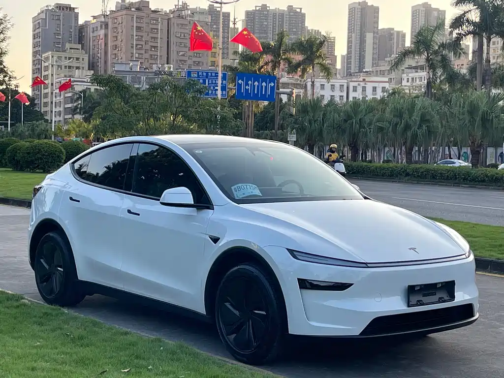 Tesla Model Y — фото 3