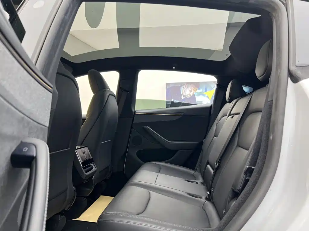 Tesla Model Y — фото 21