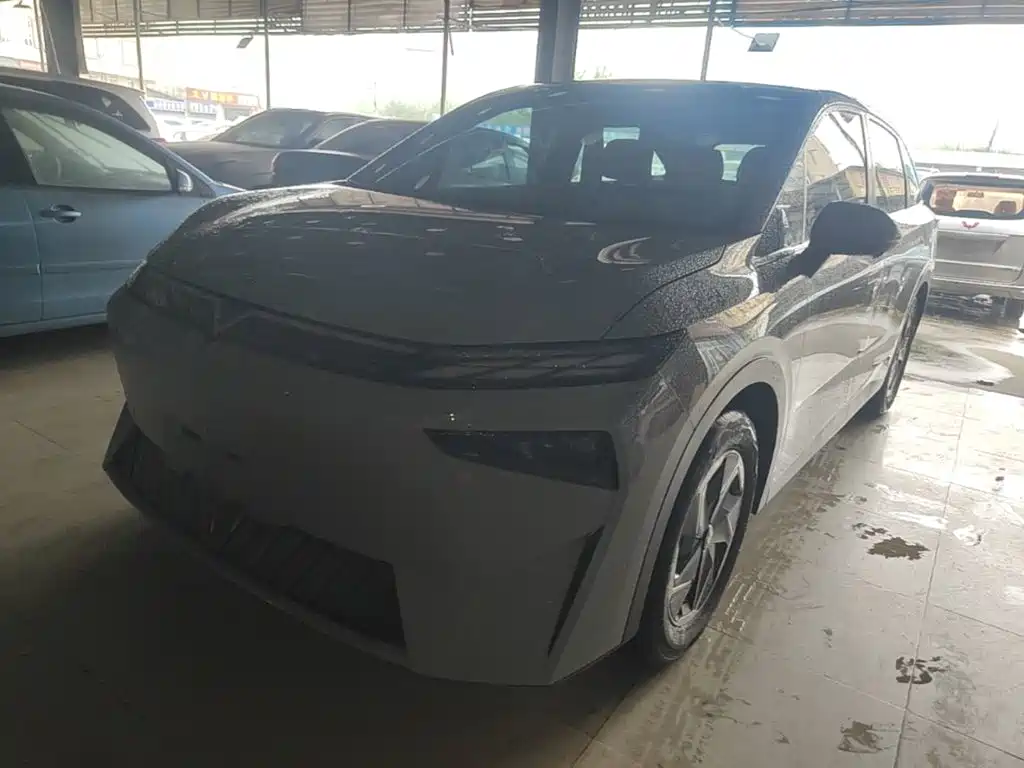 Venucia VX6