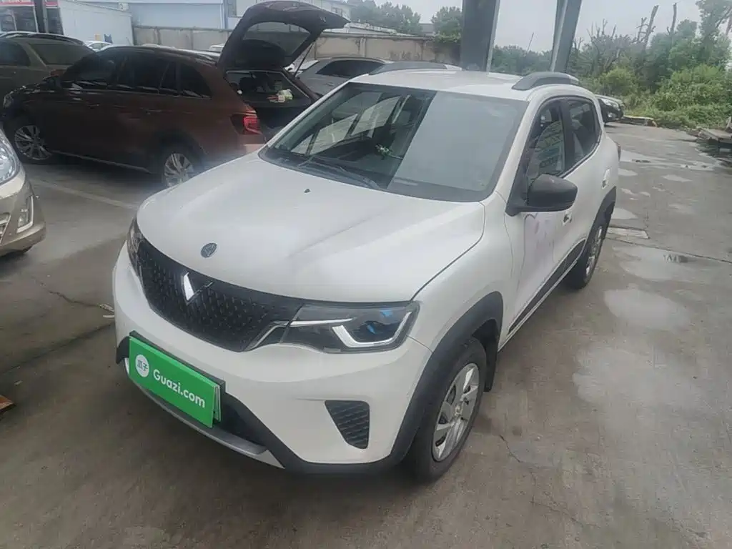 Venucia e30