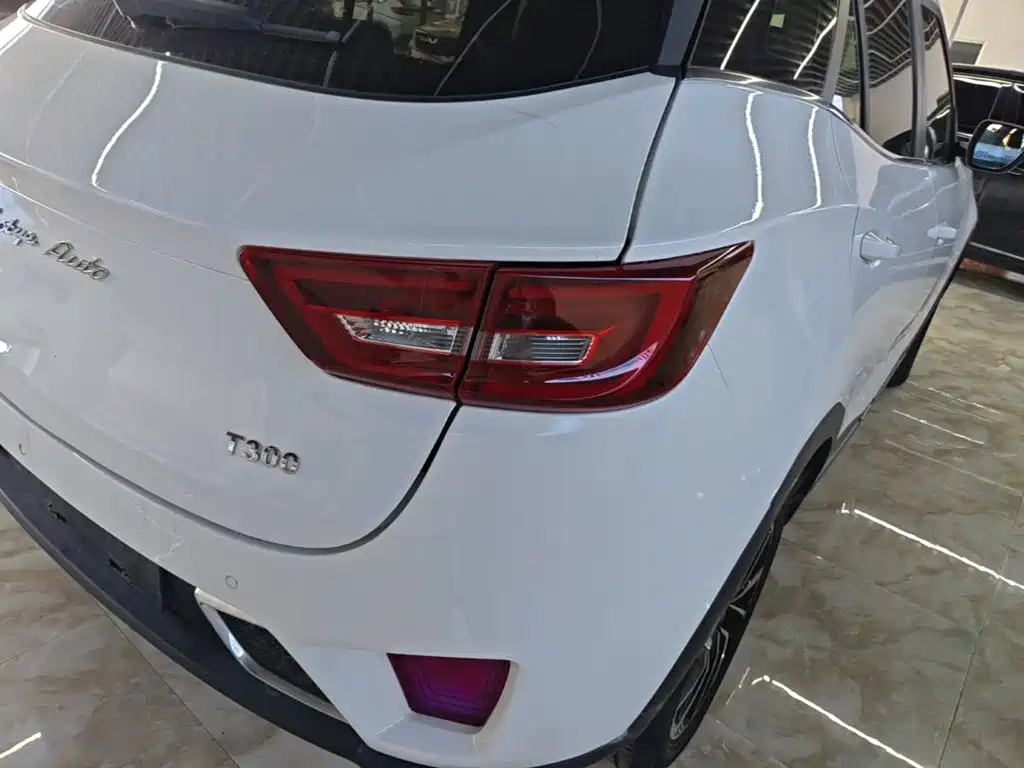 Zotye Zotye T300 — фото 8