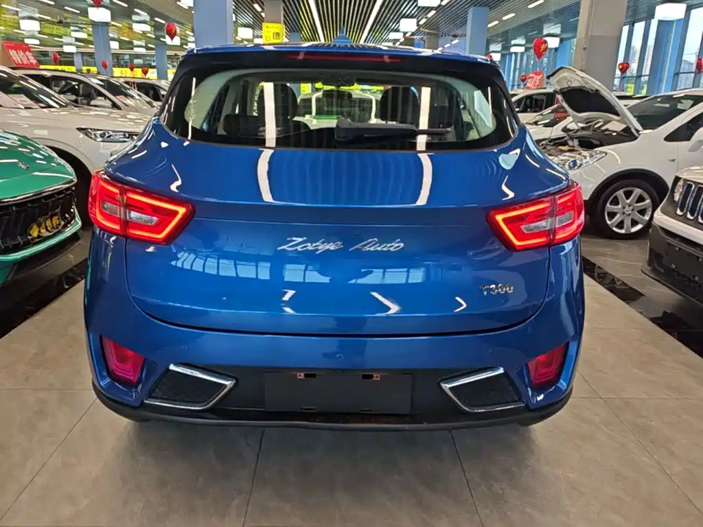 Zotye Zotye T300 — фото 6