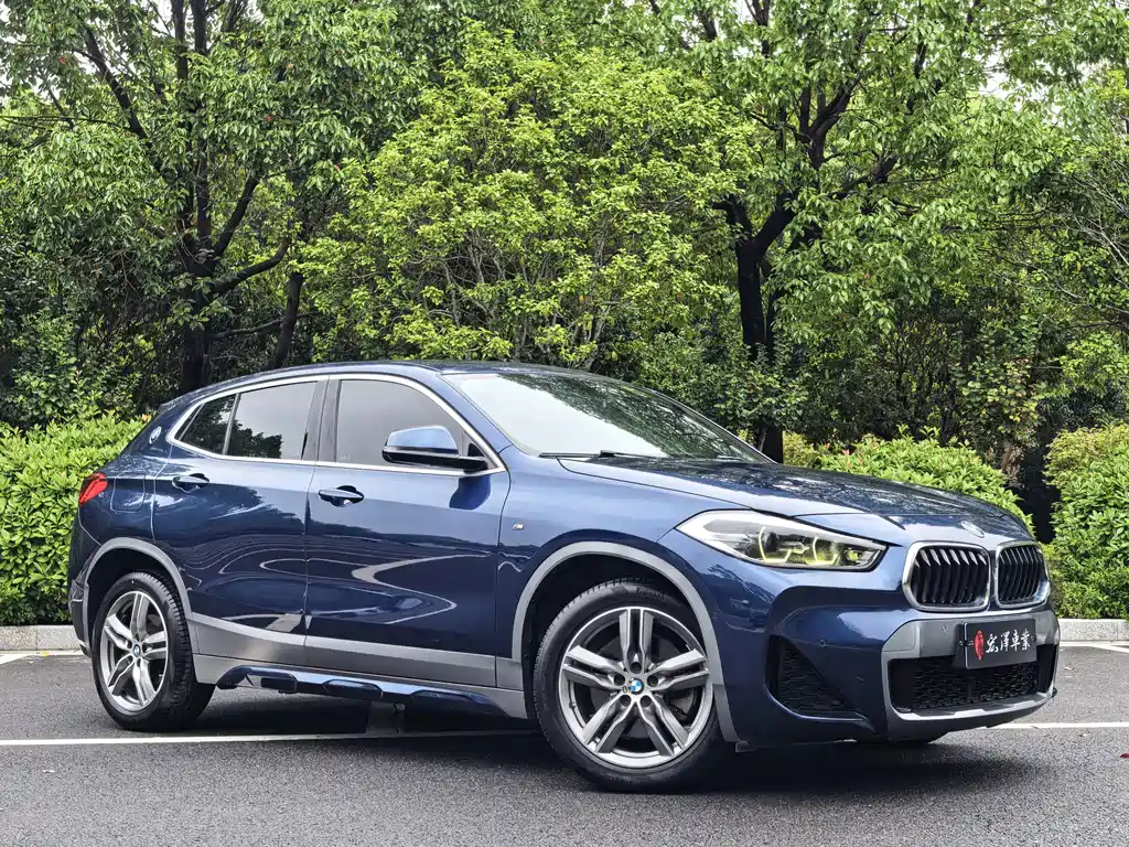 BMW X2 — фото 3