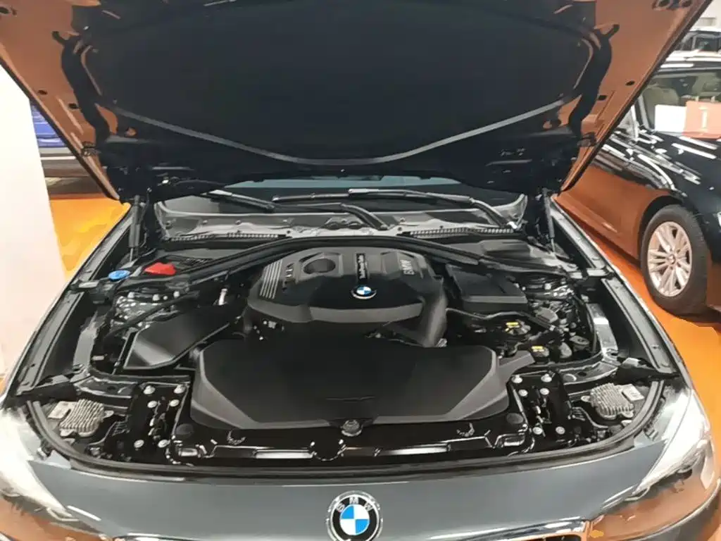 BMW 3 Series GT — фото 20