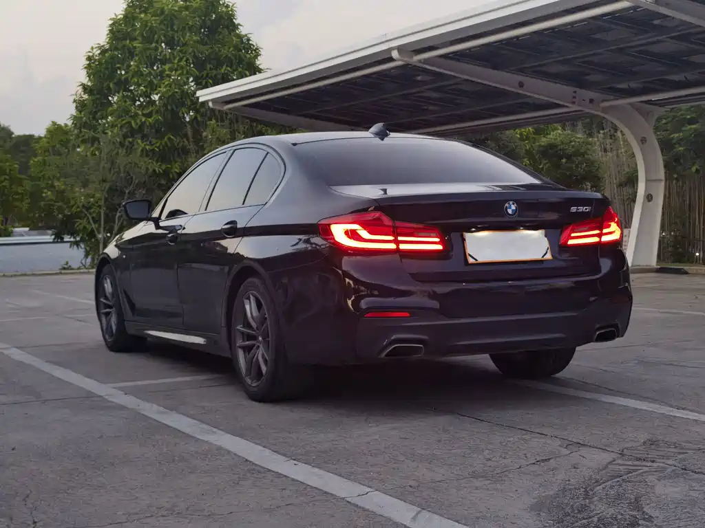 BMW 5 Series (Import) — фото 6