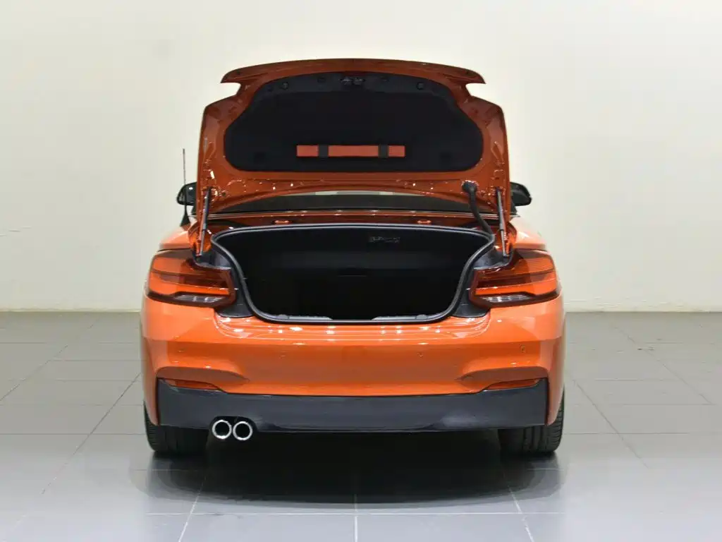 BMW 2 Series (Import) — фото 6