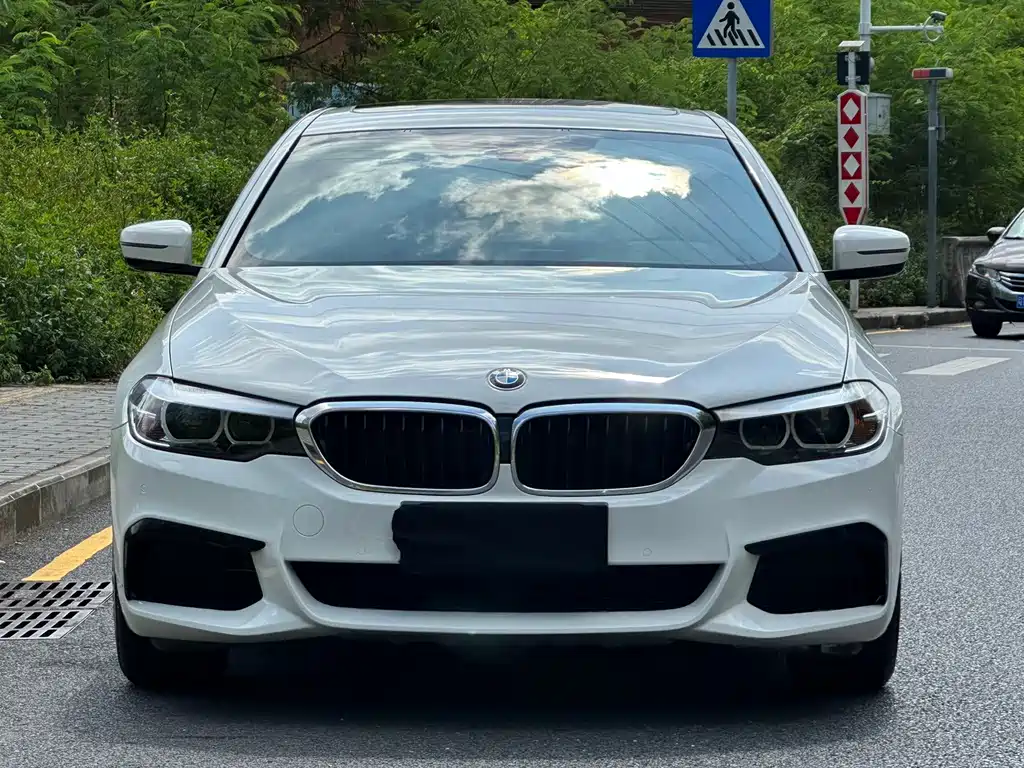 BMW 5 Series (Import) — фото 2