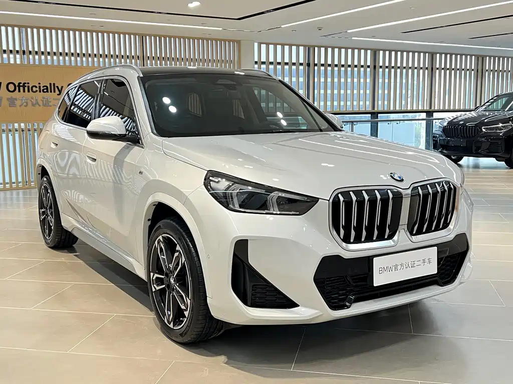 BMW X1 — фото 3