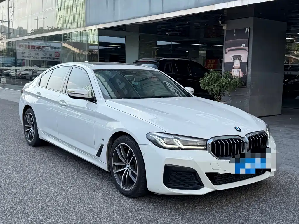 BMW 5 Series (Import) — фото 3