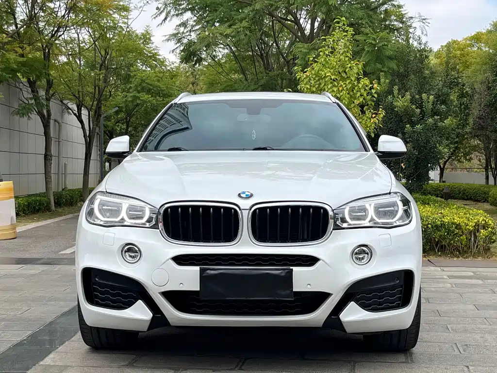 BMW X6 — фото 2