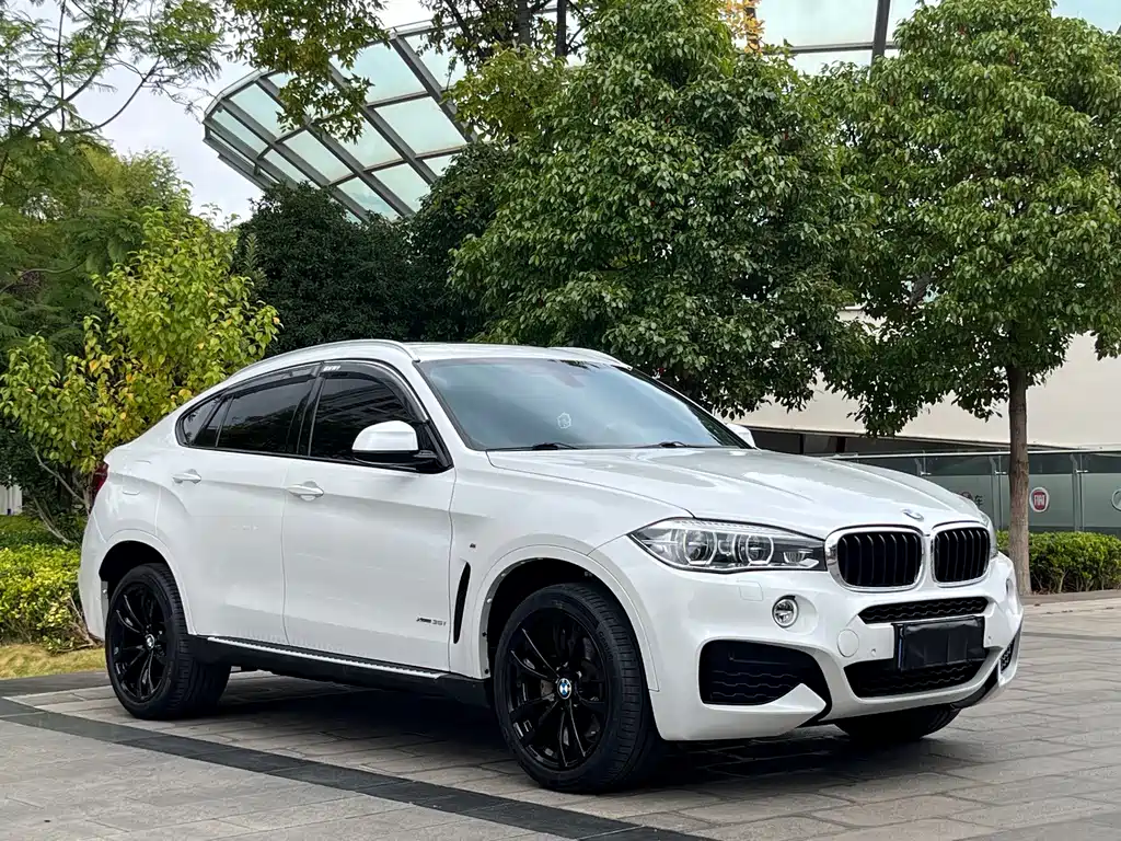 BMW X6 — фото 3