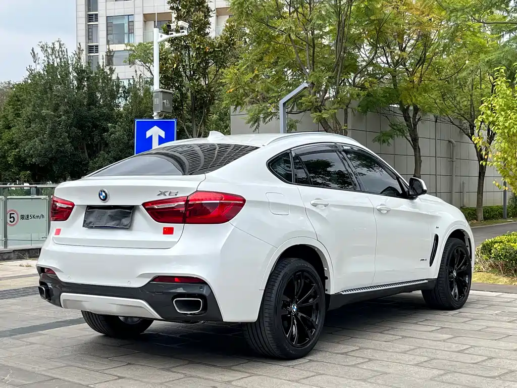 BMW X6 — фото 7