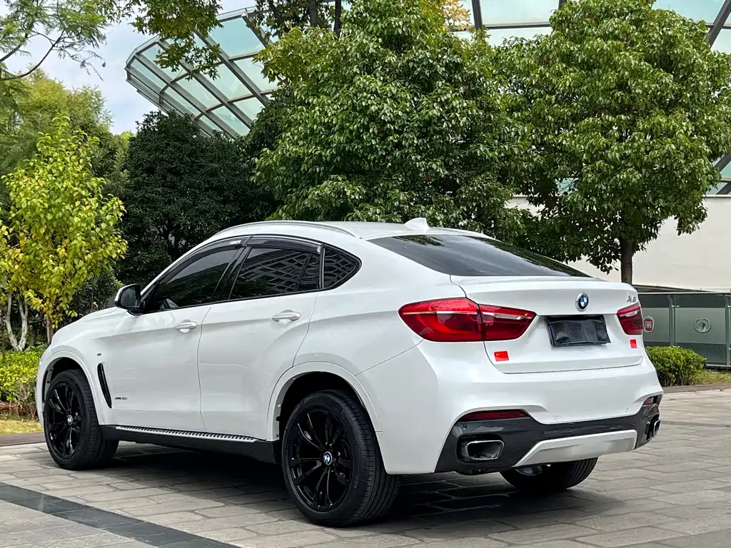 BMW X6 — фото 9