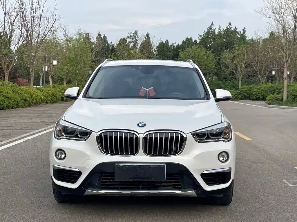 BMW X1 — фото 2