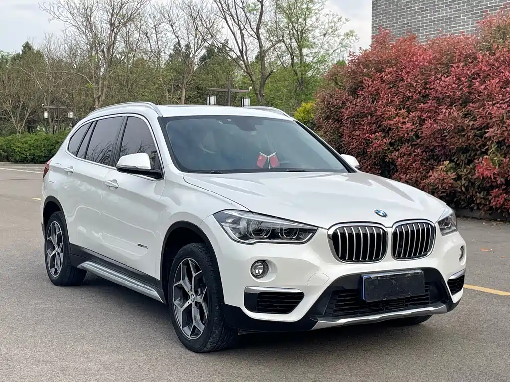 BMW X1 — фото 3