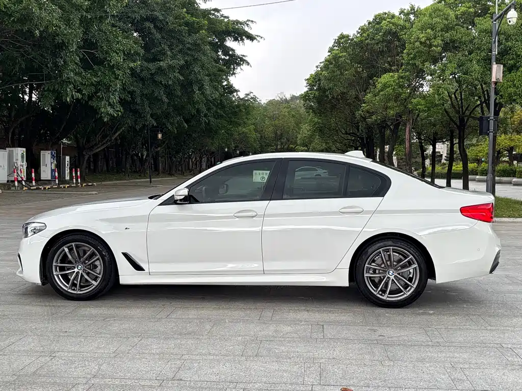 BMW 5 Series (Import) — фото 6