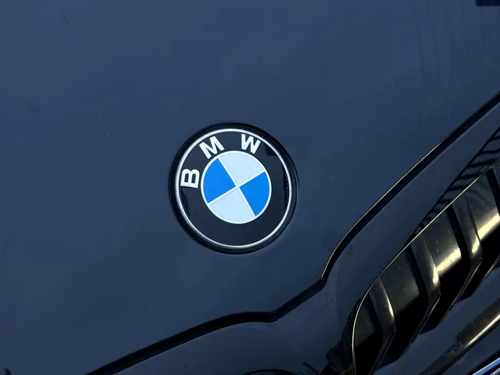 BMW 3 Series — фото 14