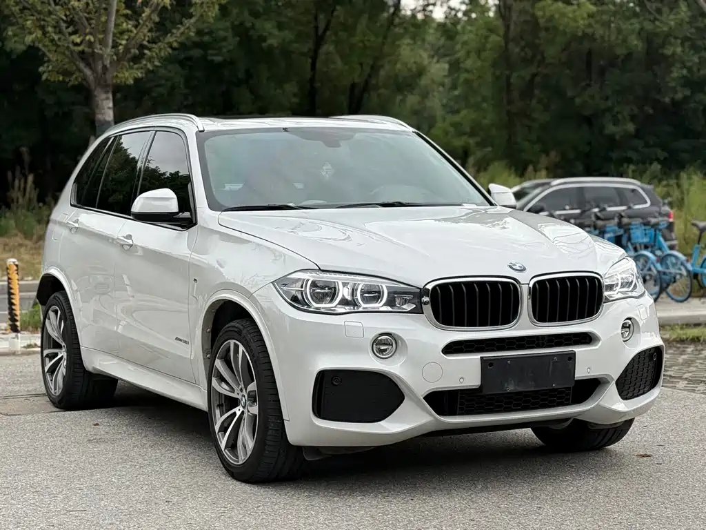 BMW X5 (Import) — фото 3