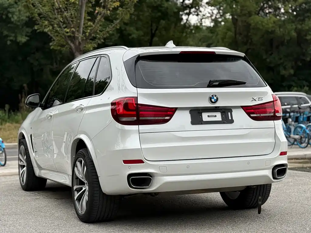 BMW X5 (Import) — фото 6