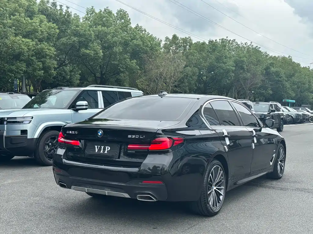 BMW 5 Series — фото 19