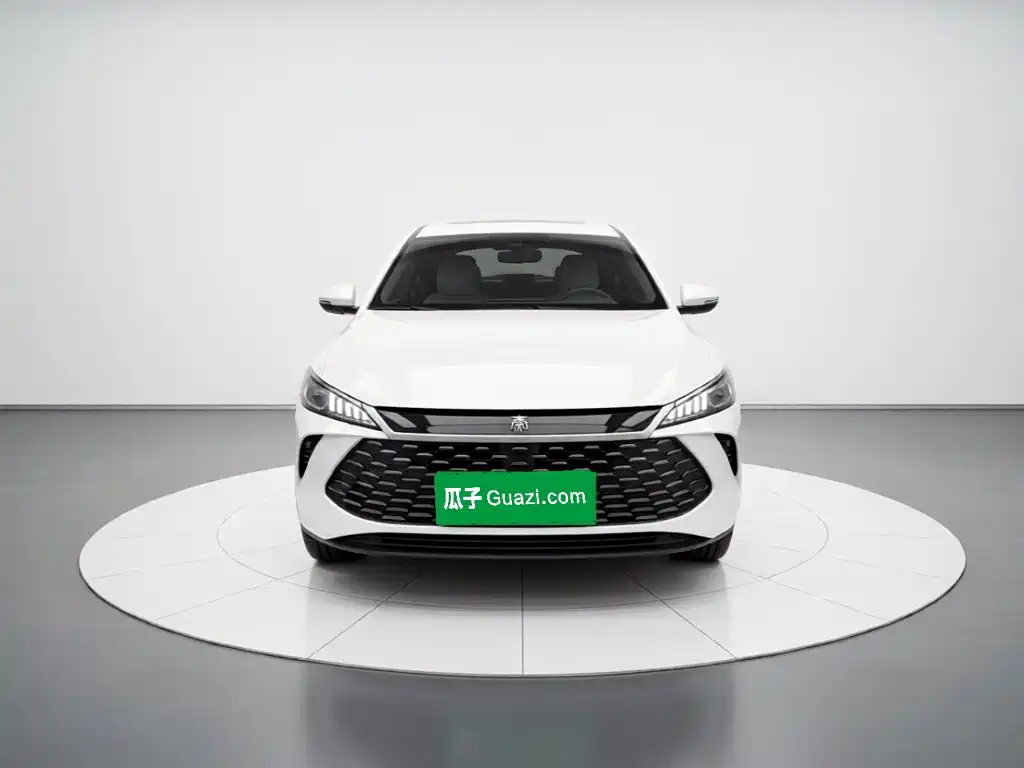 BYD Qin PLUS — фото 2