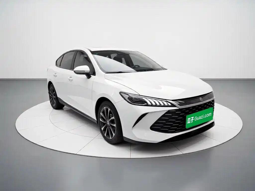 BYD Qin PLUS — фото 3