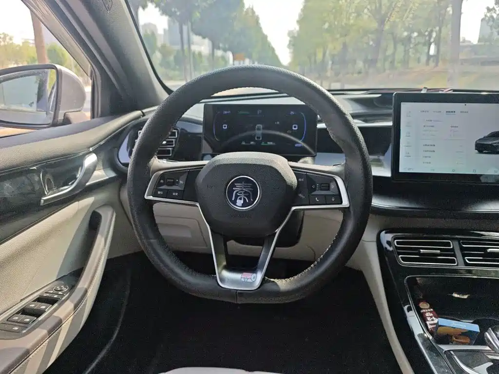 BYD Qin PLUS — фото 6
