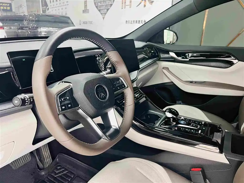 BYD Qin PLUS — фото 11