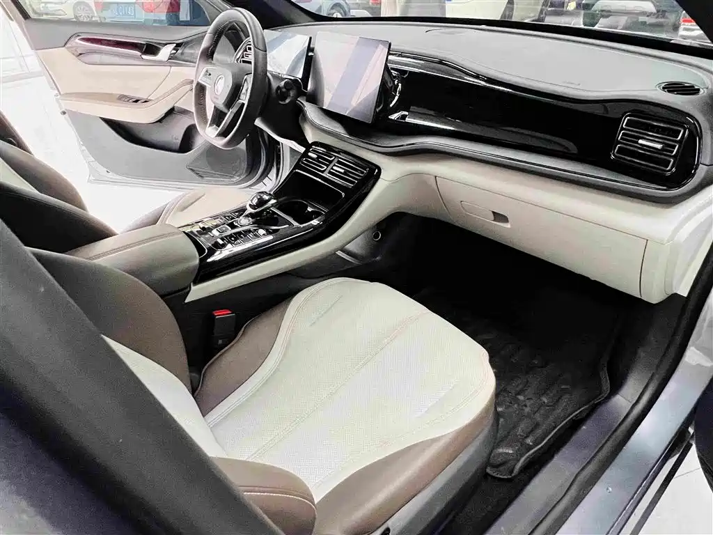 BYD Qin PLUS — фото 15