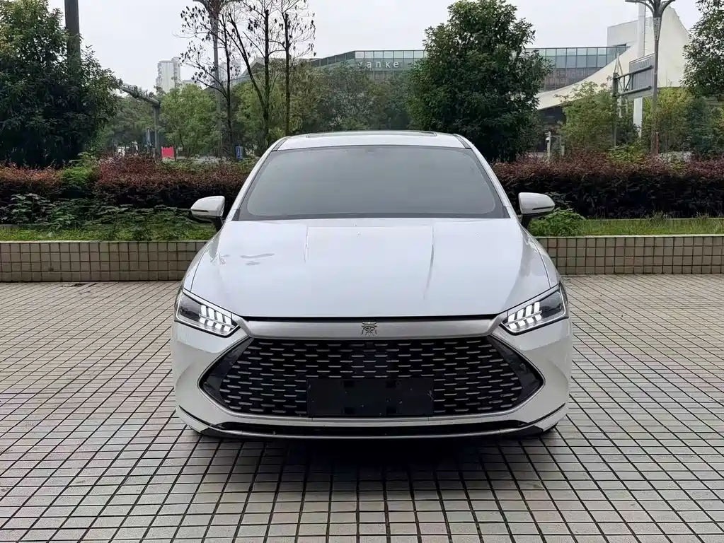 BYD Qin PLUS — фото 2